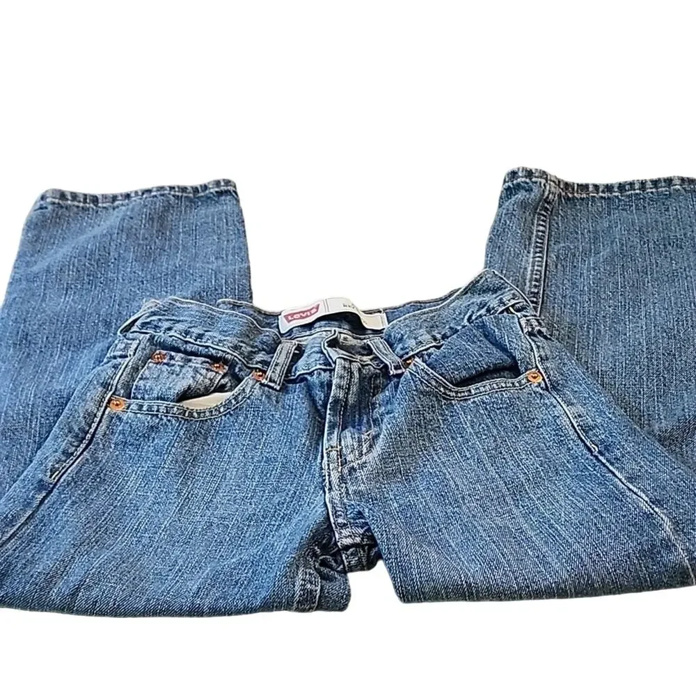 Levi's 550 Relaxed Jeans, 24x22, Boys 8